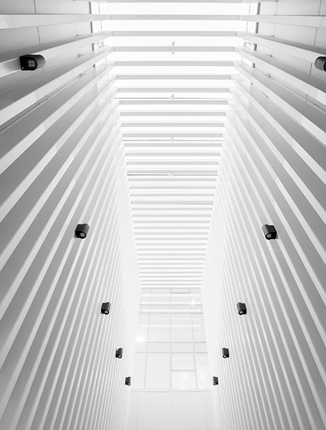 Detail architectural, Victor Trouttet, avocat Lyon