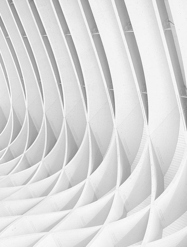 Detail architectural, Victor Trouttet, avocat Lyon