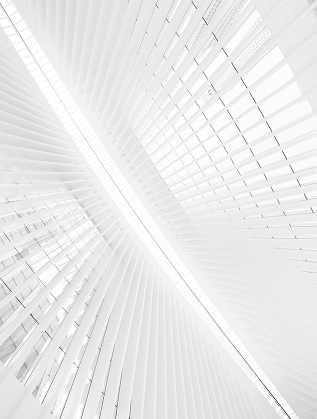 Detail architectural, Victor Trouttet, avocat Lyon