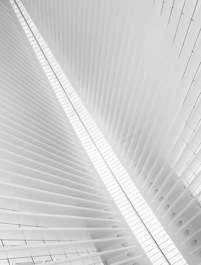 Detail architectural, Victor Trouttet, avocat Lyon